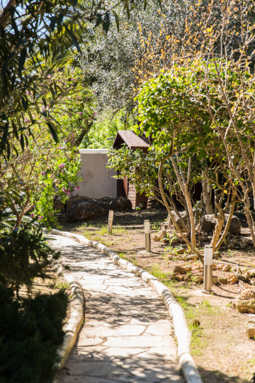 Casas o chalets-Venta-Santa Eulalia del RÃo-2314534-Foto-45-Carrousel