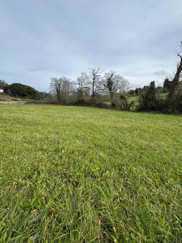 Fincas y solares-Venta-Carreño-1640780