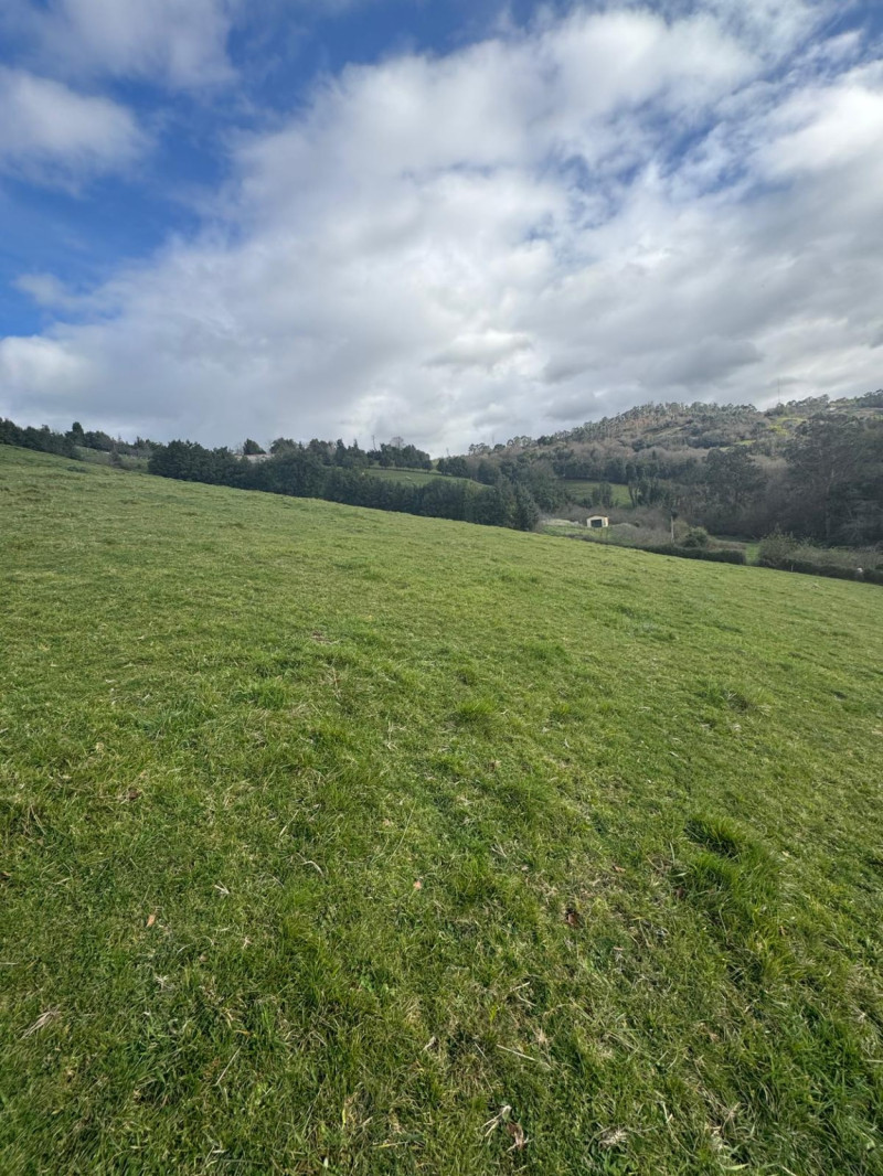 Fincas y solares-Venta-Gijón-1651470
