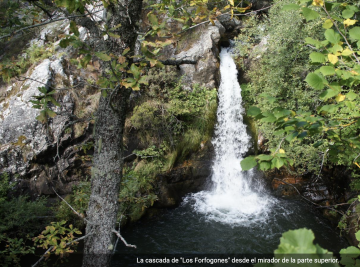 CASCADA LOS FORFOGONES