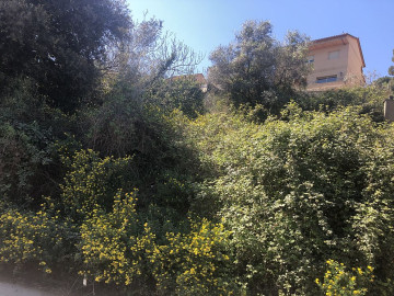 Fincas y solares-Venta-Corbera de Llobregat-2178067-Foto-6-Carrousel