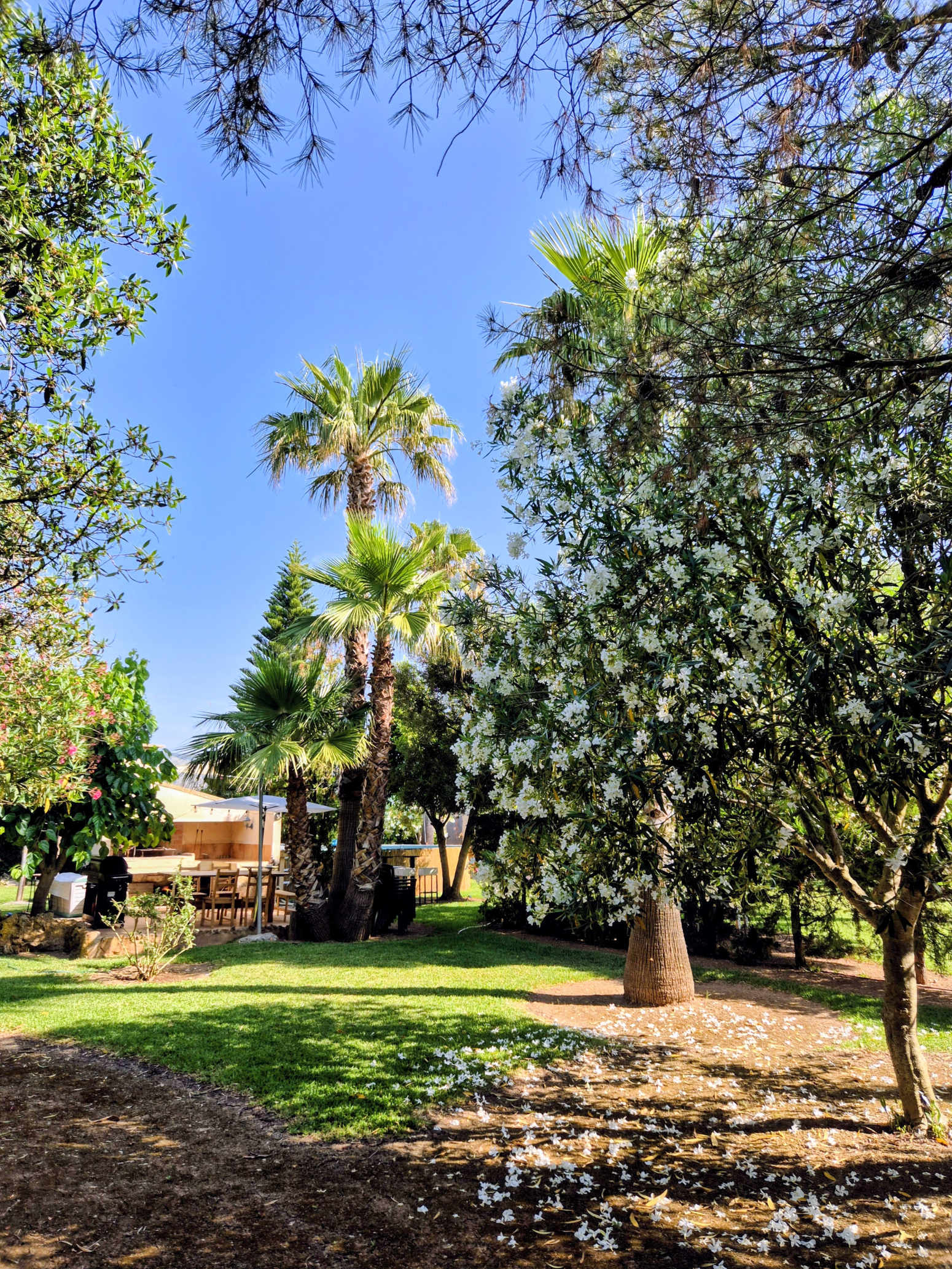 Detached Villa in Pobla Sa