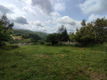 Fincas y solares-Venta-Langreo-2058740-Foto-1-Carrousel