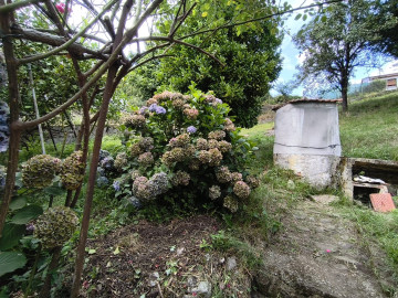 Casas o chalets-Venta-Langreo-2059241-Foto-8-Carrousel