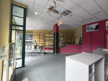 Locales-Alquiler-Langreo-2289652-Foto-6-Carrousel