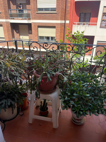 Pisos-Venta-Logroño-2338016-Foto-22-Carrousel