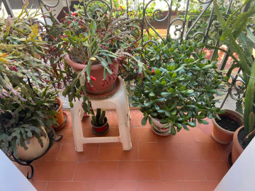 Pisos-Venta-Logroño-2338016-Foto-23-Carrousel