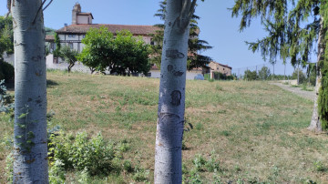 Casas o chalets-Venta-Pradillo-2364645-Foto-17-Carrousel