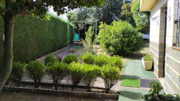 Fincas y solares-Venta-Entrena-2364969-Foto-14-Carrousel