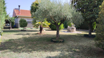 Fincas y solares-Venta-Entrena-2364969