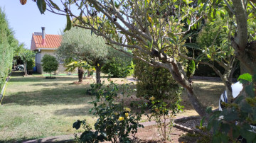Fincas y solares-Venta-Entrena-2364969-Foto-2-Carrousel