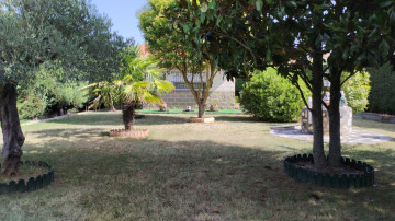 Fincas y solares-Venta-Entrena-2364969-Foto-12-Carrousel