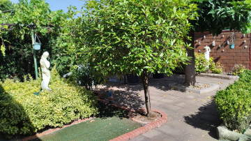 Fincas y solares-Venta-Entrena-2364969-Foto-15-Carrousel