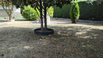 Fincas y solares-Venta-Entrena-2364969-Foto-13-Carrousel