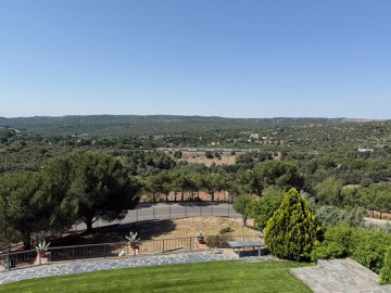 Vistas