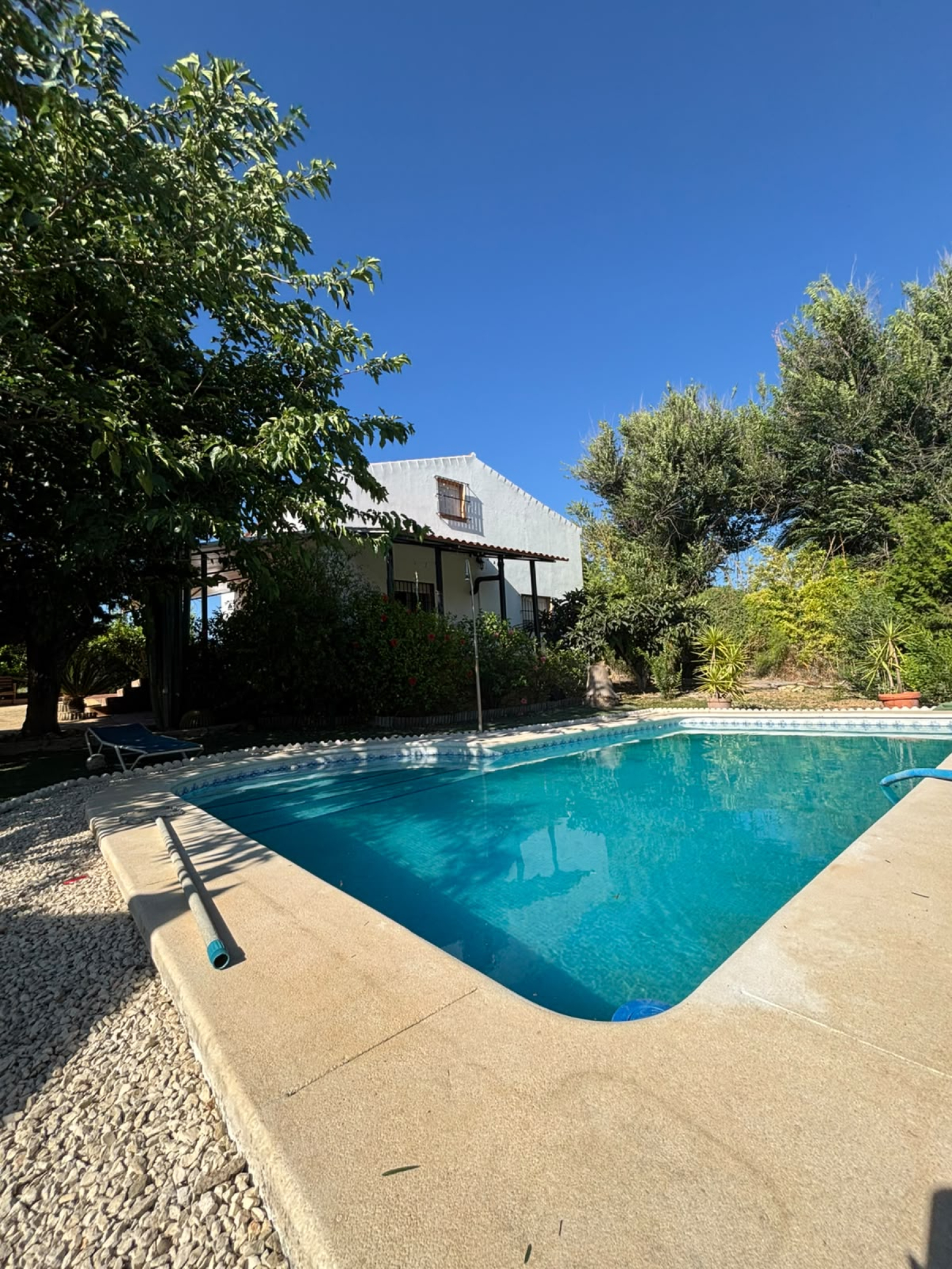 Casas o chalets, Venta