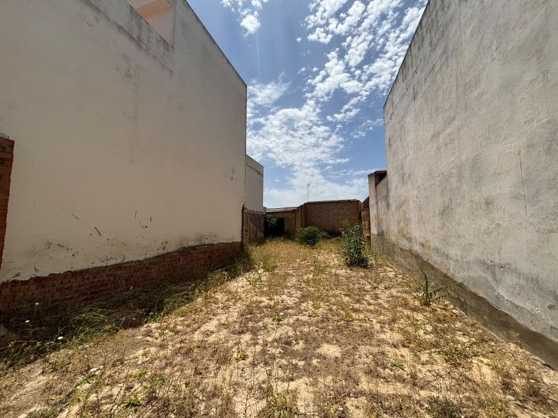 Fincas y solares-Venta-Palomares del Río-2363140