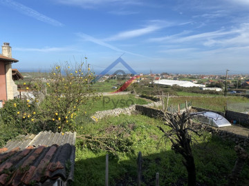 JardÃ­n