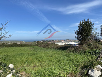 Vistas