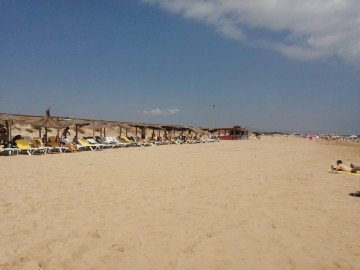 Pisos-Venta-Oliva-2318888-Foto-36-Carrousel