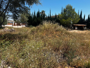Fincas y solares-Venta-Picassent-2318972-Foto-10-Carrousel