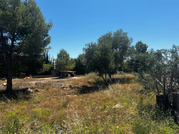 Fincas y solares-Venta-Picassent-2318972-Foto-8-Carrousel