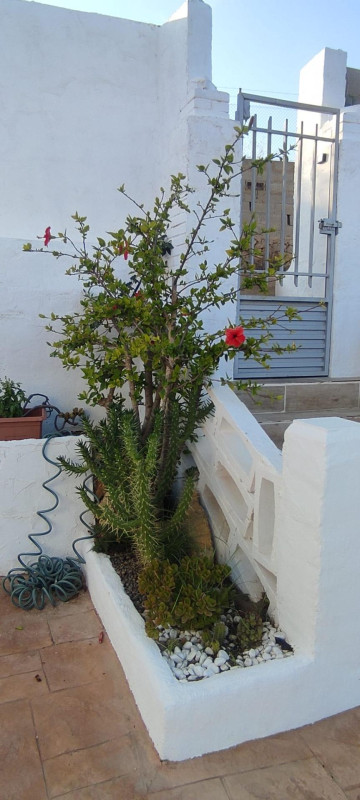Casas o chalets-Venta-Monserrat - Montserrat-2335364-Foto-14-Carrousel