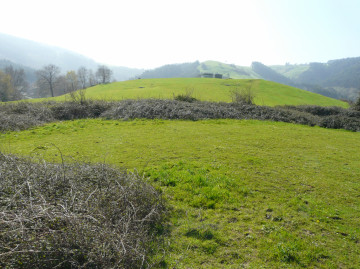 Vistas a la montaña