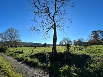 Fincas y solares-Venta-Hazas de Cesto-1482149-Foto-11-Carrousel