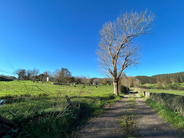 Fincas y solares-Venta-Hazas de Cesto-1482149-Foto-9-Carrousel