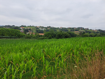 Fincas y solares-Venta-Piélagos