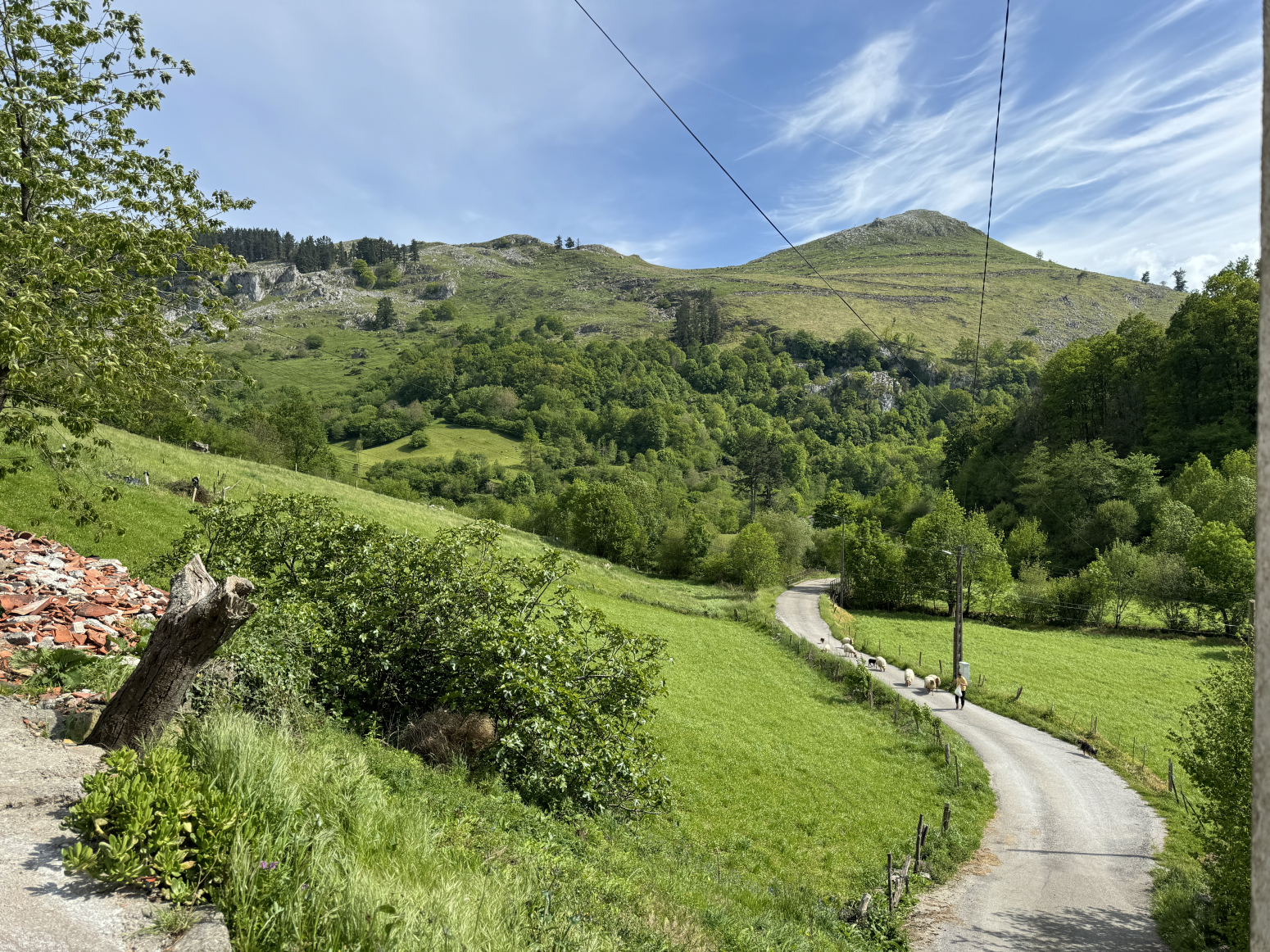 Casas o chalets-Alquiler-San Roque de Riomiera-1091046-Foto-20