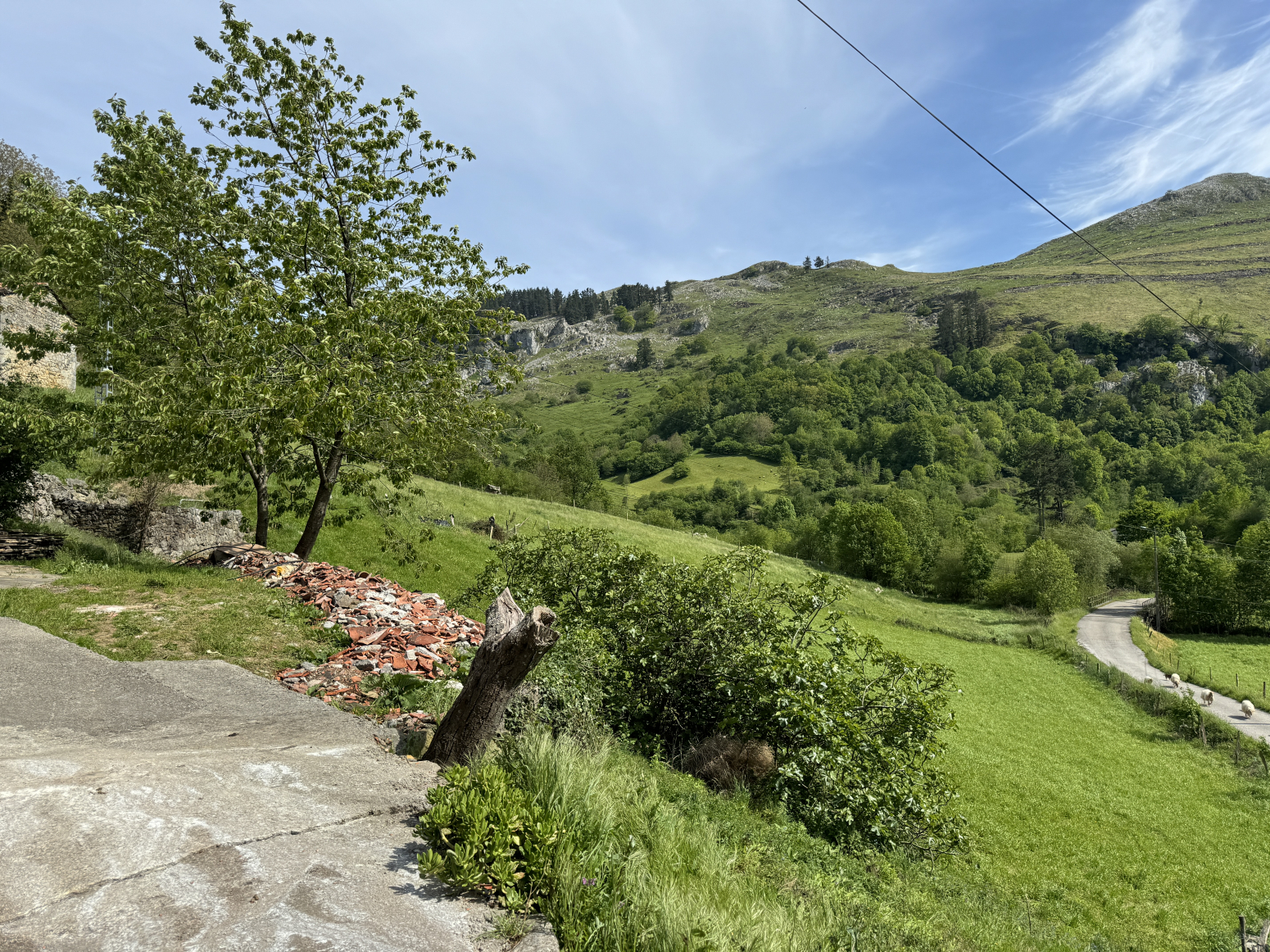 Casas o chalets-Alquiler-San Roque de Riomiera-1091046-Foto-22