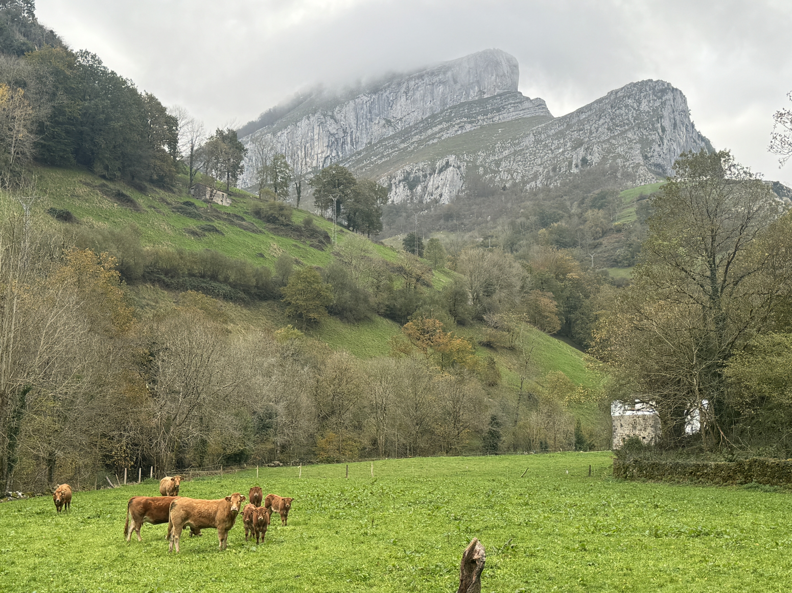 Casas o chalets-Alquiler-San Roque de Riomiera-1481250-Foto-4