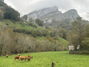 Casas o chalets-Alquiler-San Roque de Riomiera-1481250-Foto-3-Carrousel