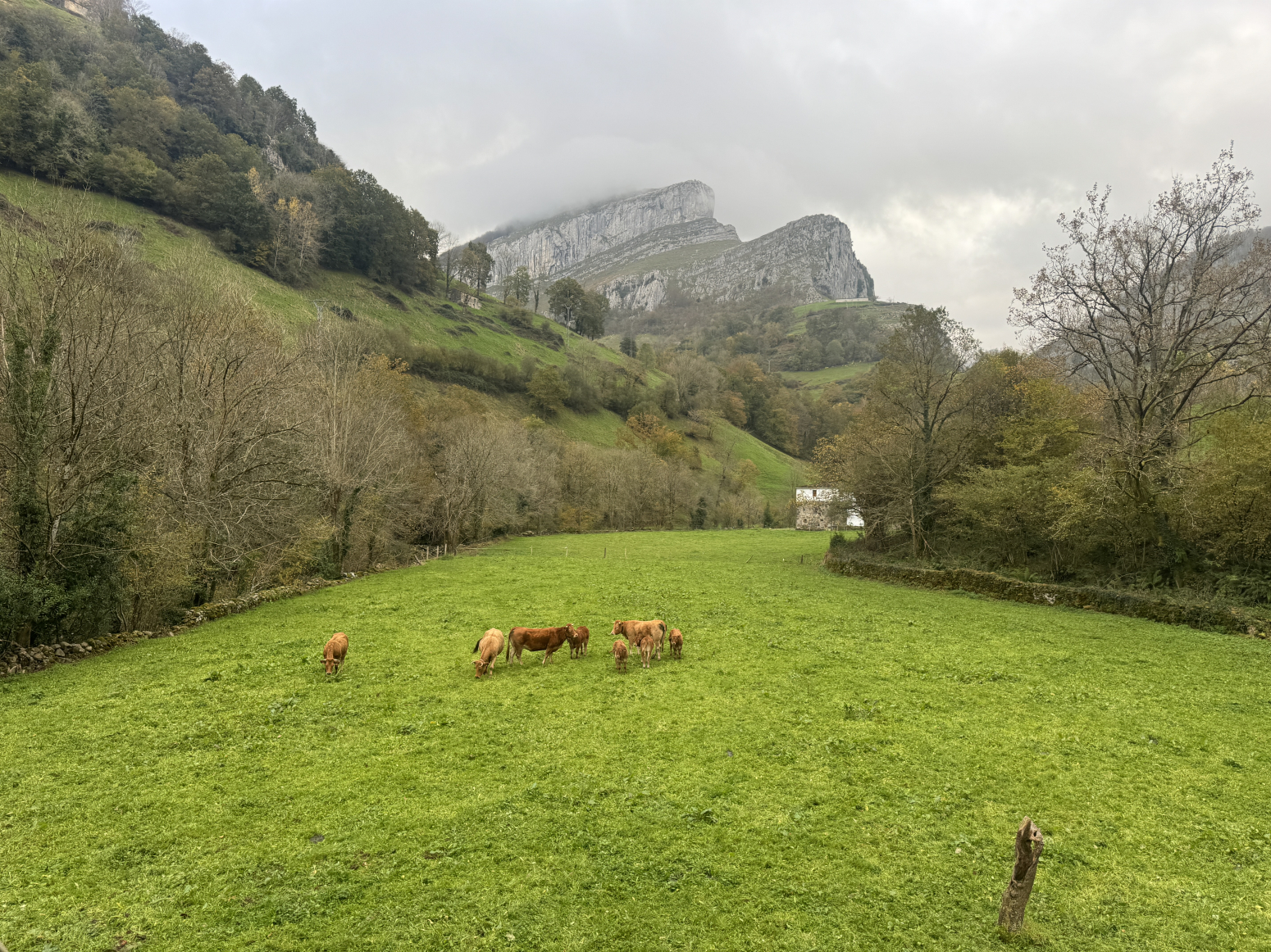 Casas o chalets-Alquiler-San Roque de Riomiera-1481250-Foto-5