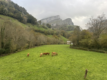 Casas o chalets-Alquiler-San Roque de Riomiera-1481250-Foto-4-Carrousel