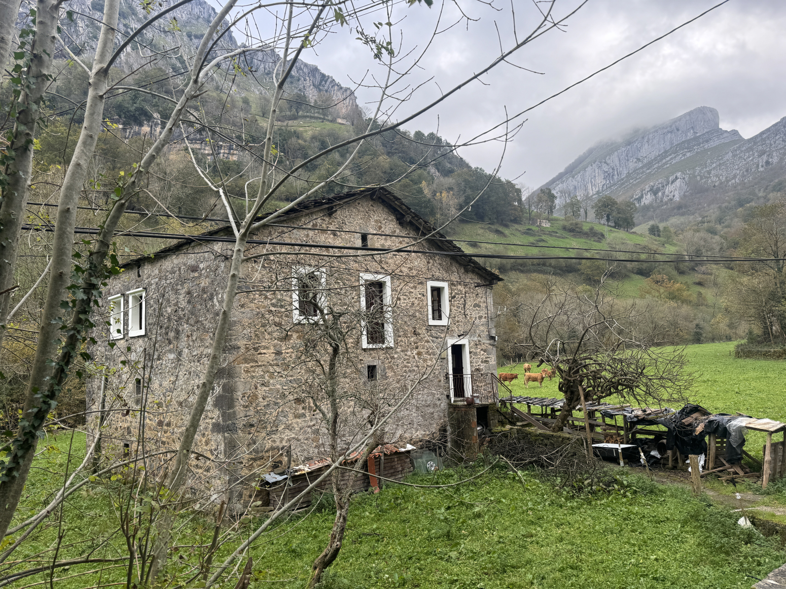 Casas o chalets-Alquiler-San Roque de Riomiera-1481250-Foto-2