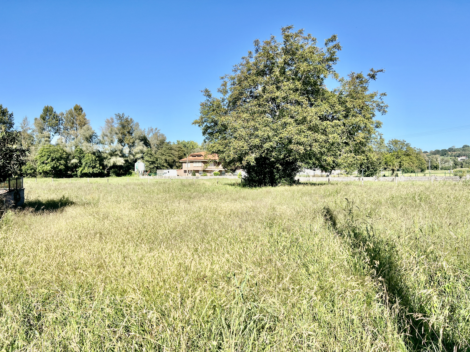 Fincas y solares-Venta-Santa MarÃ­a de CayÃ³n-1720596-Foto-8