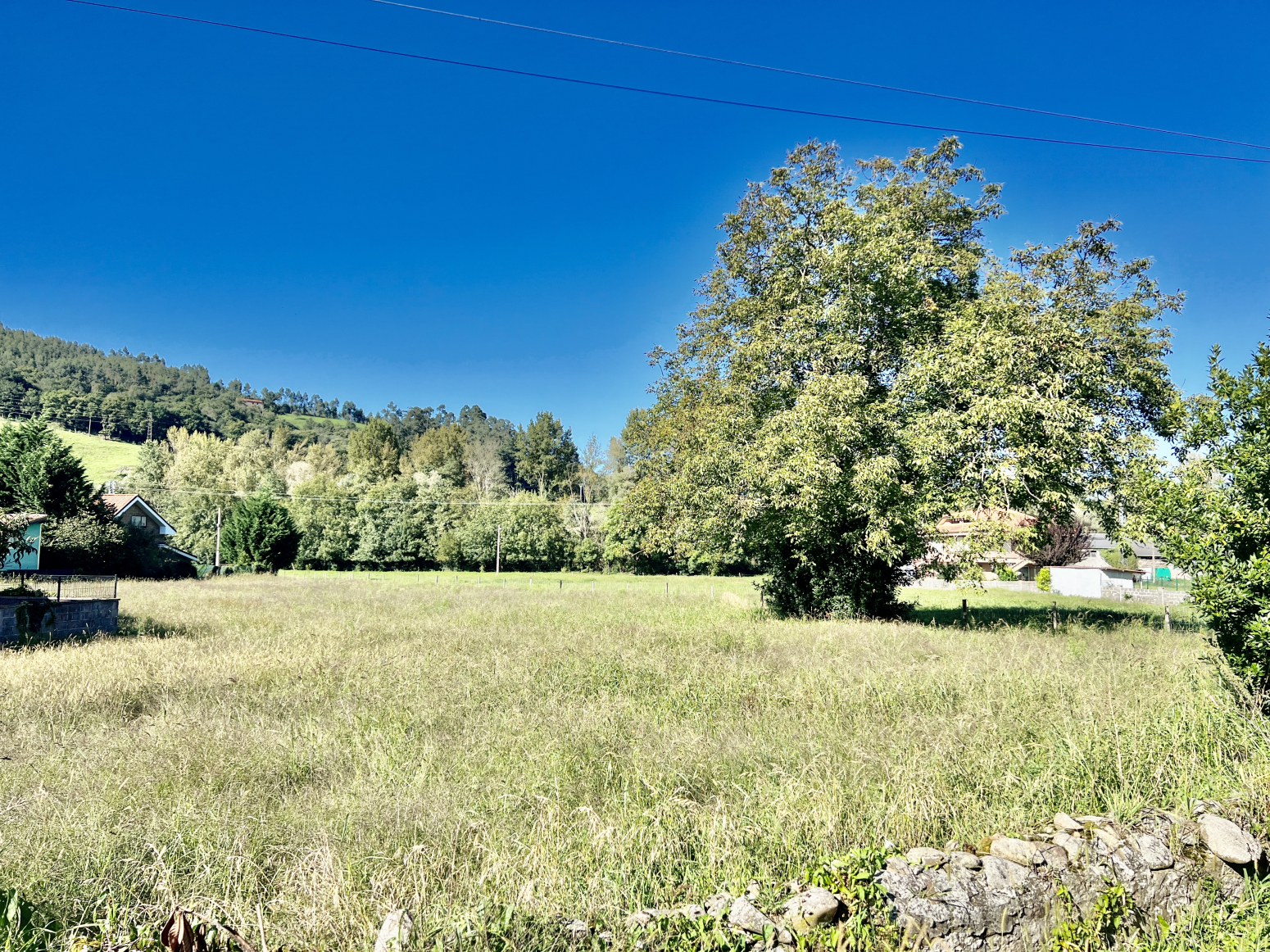 Fincas y solares-Venta-Santa MarÃ­a de CayÃ³n-1720596-Foto-3