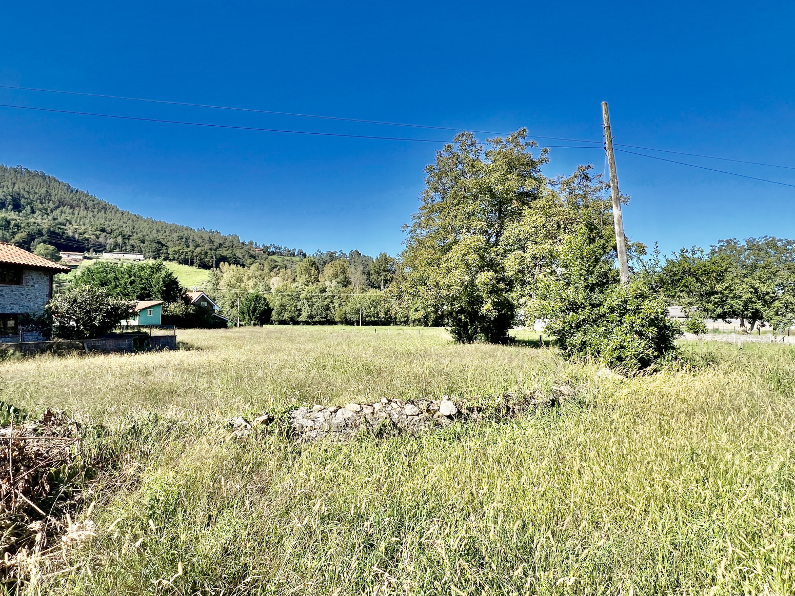 Fincas y solares-Venta-Santa MarÃ­a de CayÃ³n-1720596-Foto-7