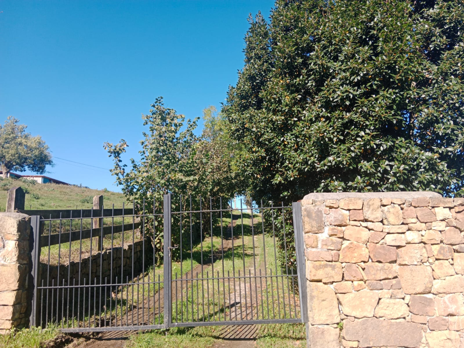 Casas o chalets-Alquiler-Riotuerto-1883796-Foto-22