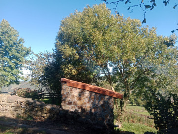 Casas o chalets-Alquiler-Riotuerto-1883796-Foto-18-Carrousel