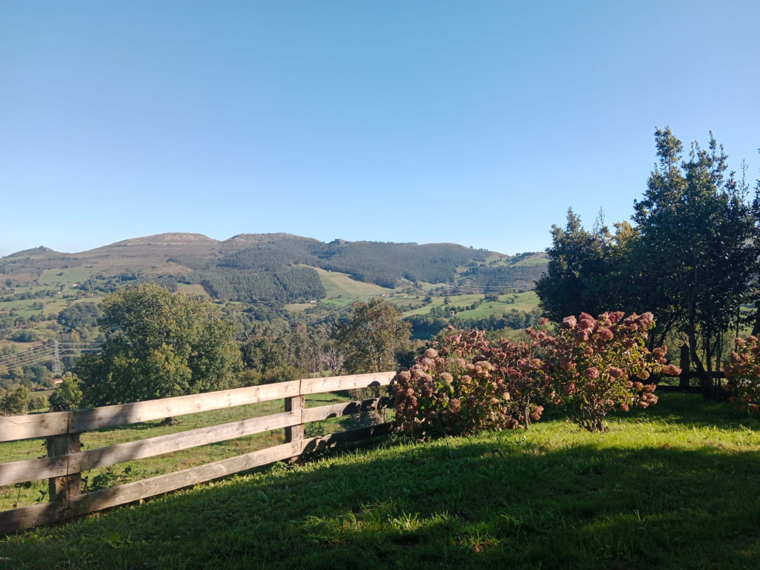 Casas o chalets-Alquiler-Riotuerto-1883796-Foto-20