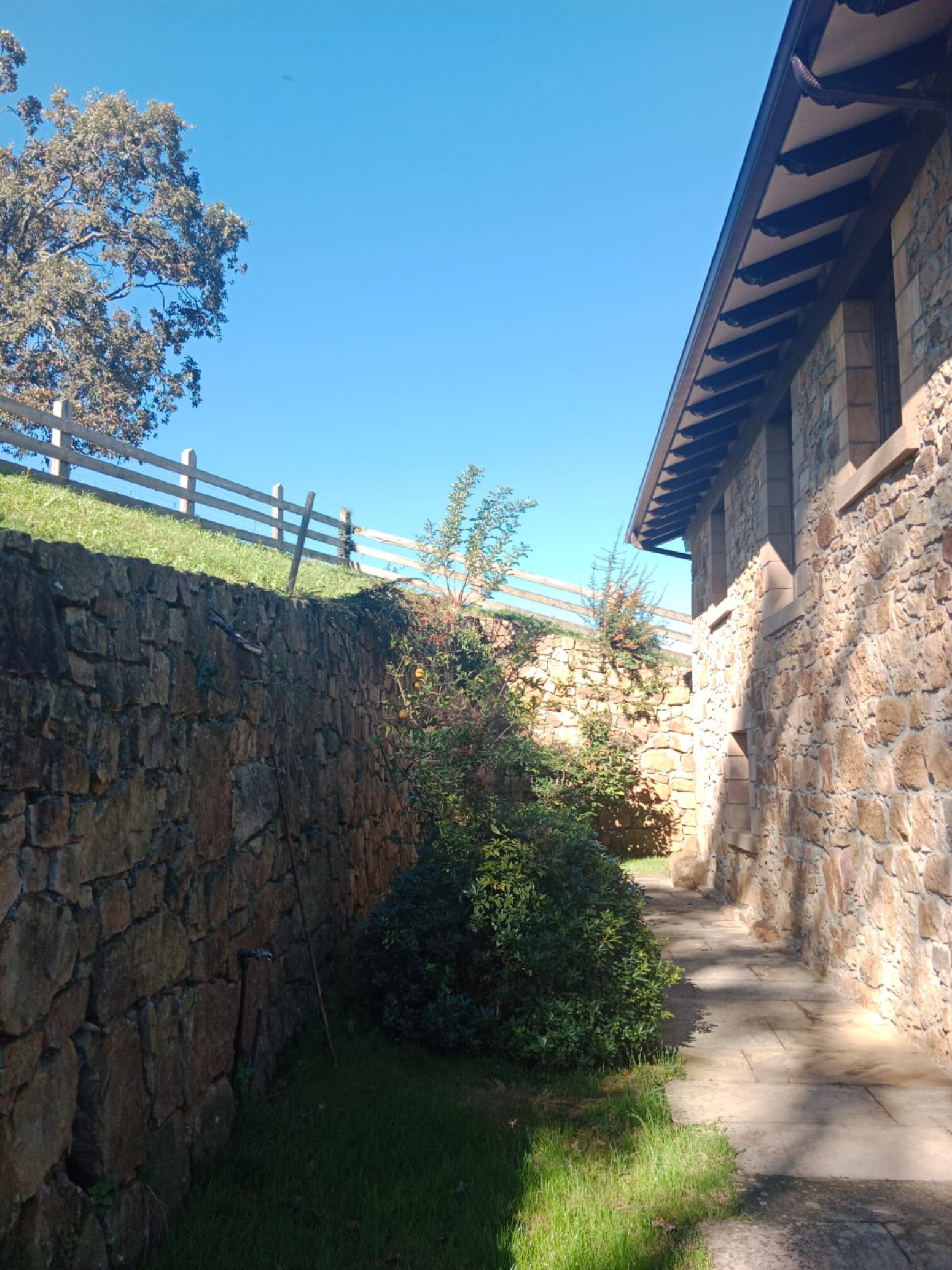 Casas o chalets-Alquiler-Riotuerto-1883796-Foto-18