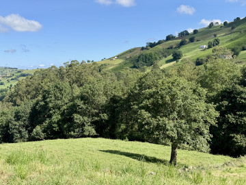 Casas o chalets-Venta-Villacarriedo-2336204-Foto-31-Carrousel