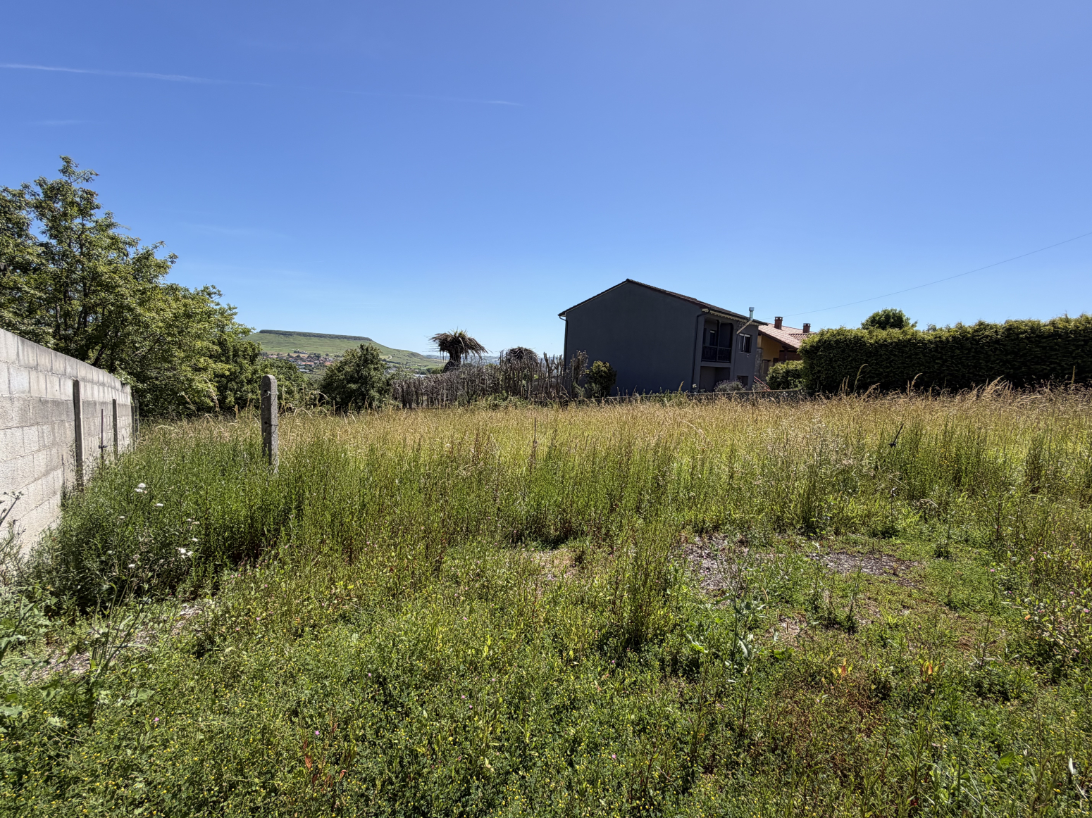 Fincas y solares-Venta-Santillana del Mar-2348959-Foto-7