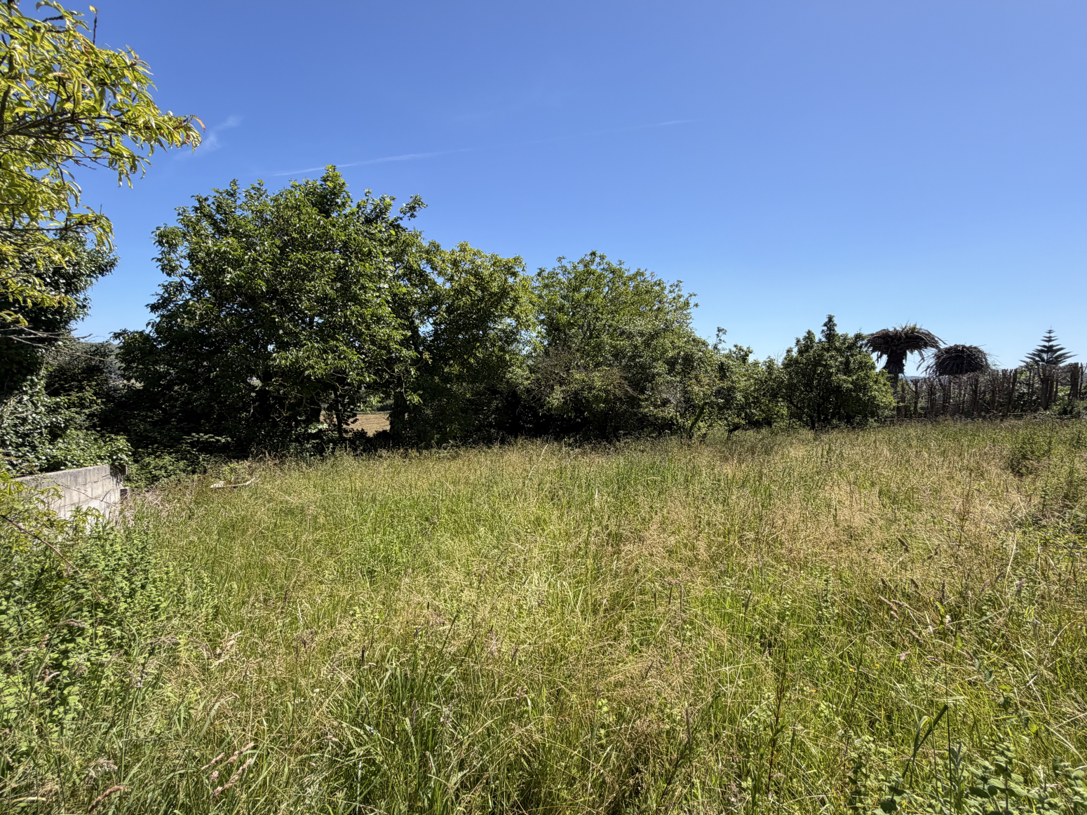 Fincas y solares-Venta-Santillana del Mar-2348959-Foto-12
