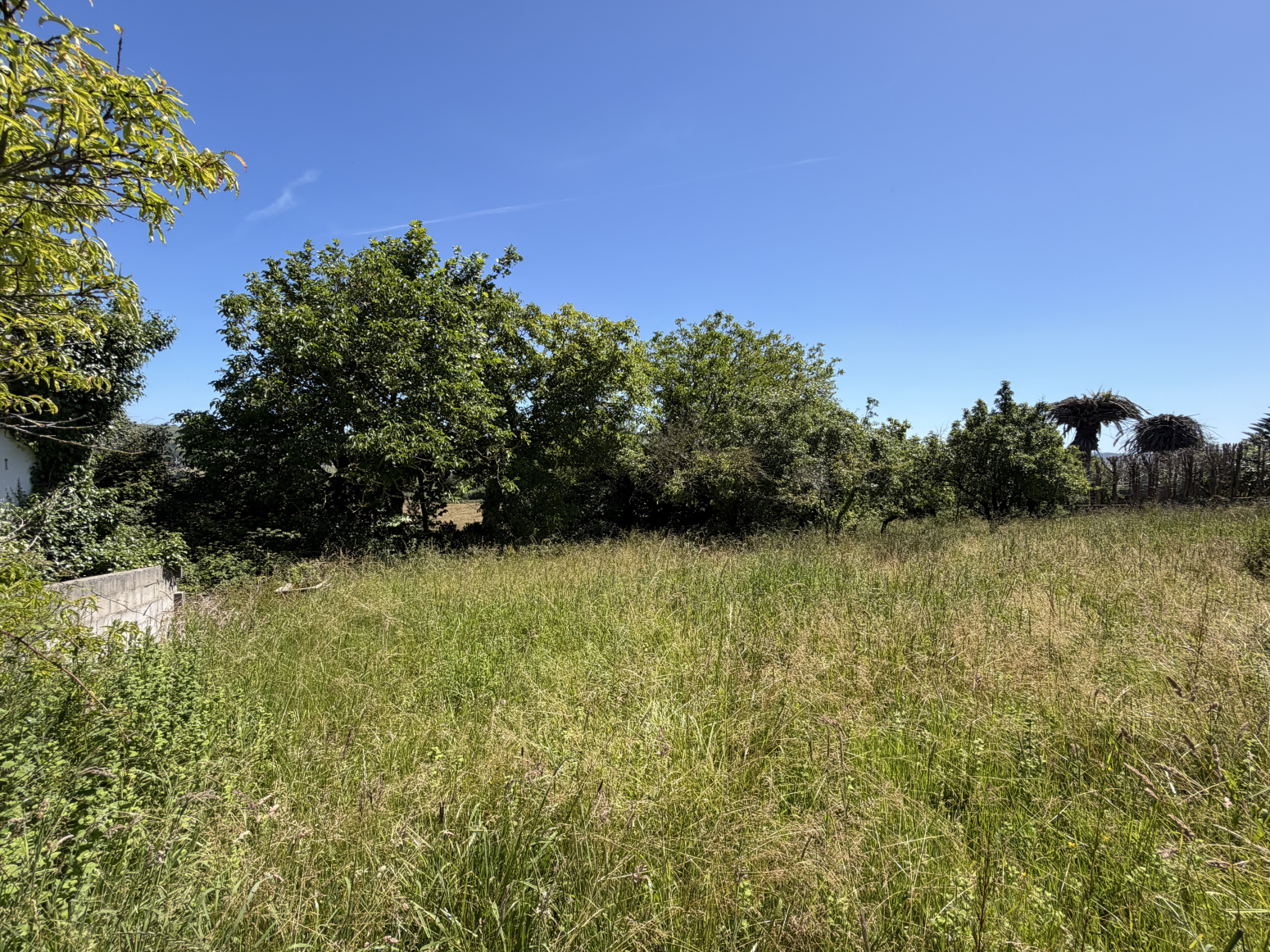 Fincas y solares-Venta-Santillana del Mar-2348959-Foto-11