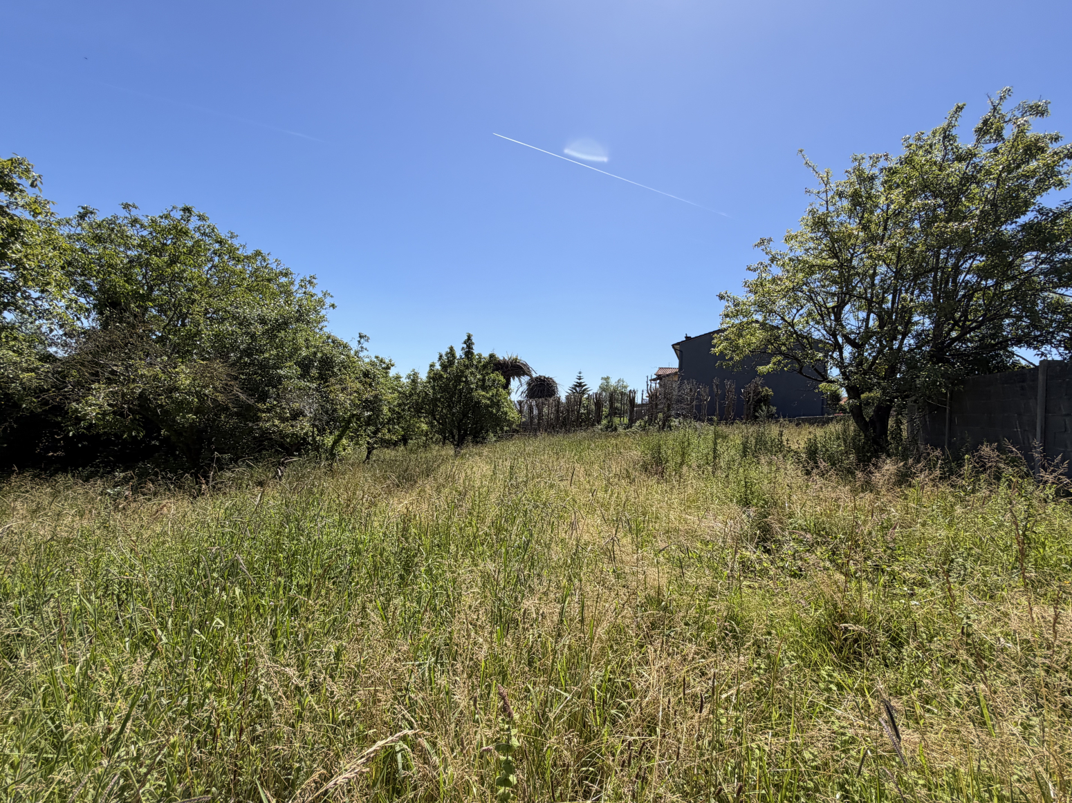 Fincas y solares-Venta-Santillana del Mar-2348959-Foto-16